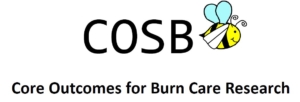 Core Outcomes for Burn Care Research
